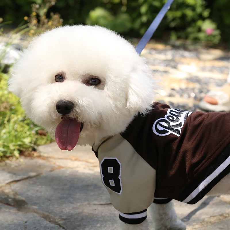 Customized Pet Clothing Luxury Baseball Pet Uniform Large Dog Hoodie Warm Cat Outing Casual Coat