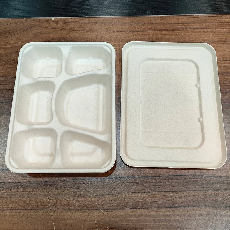 100% Compostable 5 Compartment Plates Disposable Paper Plates Heavy-Duty Biodegradable Sugarcane Plates