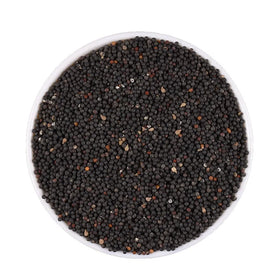 Wang Bu Liu Xing Bulk Wholesale Vaccaria Seeds Cowherb Seed for Herb