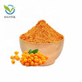 Free Sample Plant Extract Sea Buckthorn Powder Natural Organic Instant Seabuckthorn Fruit Juice Sea Buckthorn Extract Powder