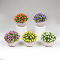 E07203 Hot Sale Wholesale Indoor Faux Cactus Bonsai Mini Large Green Potted Plant Artificial Bonsai Plants with Pot