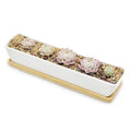 Hot Sale 11-Inch White Ceramic Rectangular Succulent Planter Pots Mini Flower Plant Containers Bamboo Saucers for Garden