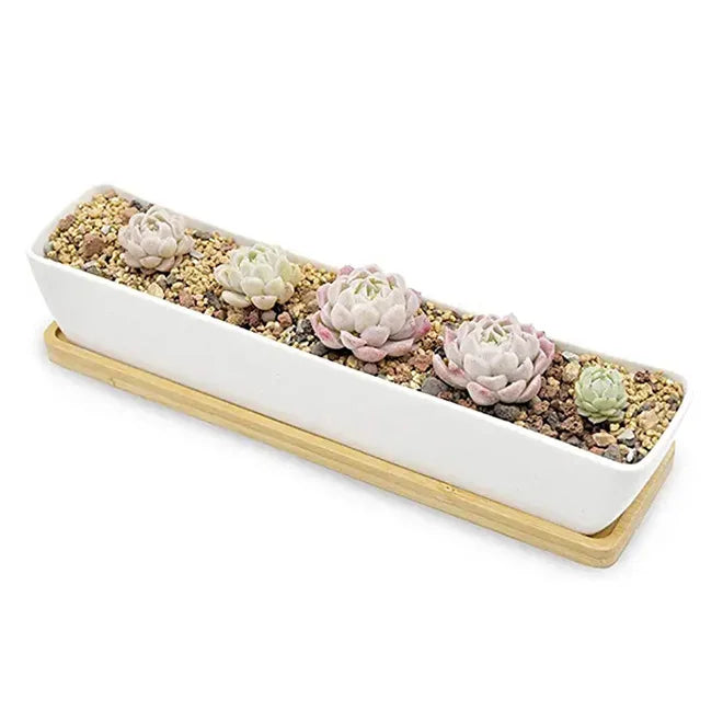 Hot Sale 11-Inch White Ceramic Rectangular Succulent Planter Pots Mini Flower Plant Containers Bamboo Saucers for Garden