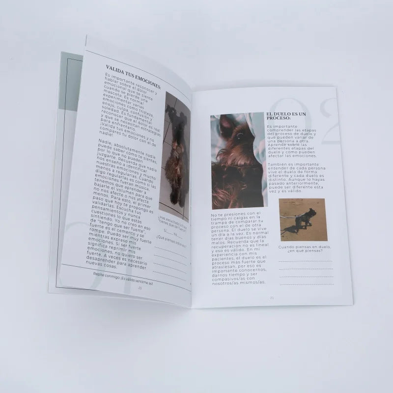 Cheap Offset Printed Flyers Leaflet Catalogue Brochure Magazine with Offset Paper and Cardboard for Wholesale