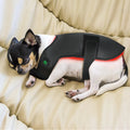 New Equin Red Therapy Device Near Infrared 660nm 850nm Red Light Therapy Wrap for Pets Dog's Jacket Back Wrap