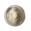 Anti-allergic100 Billion CFU/g Lactobacillus Reuteri Human Health Food Grade