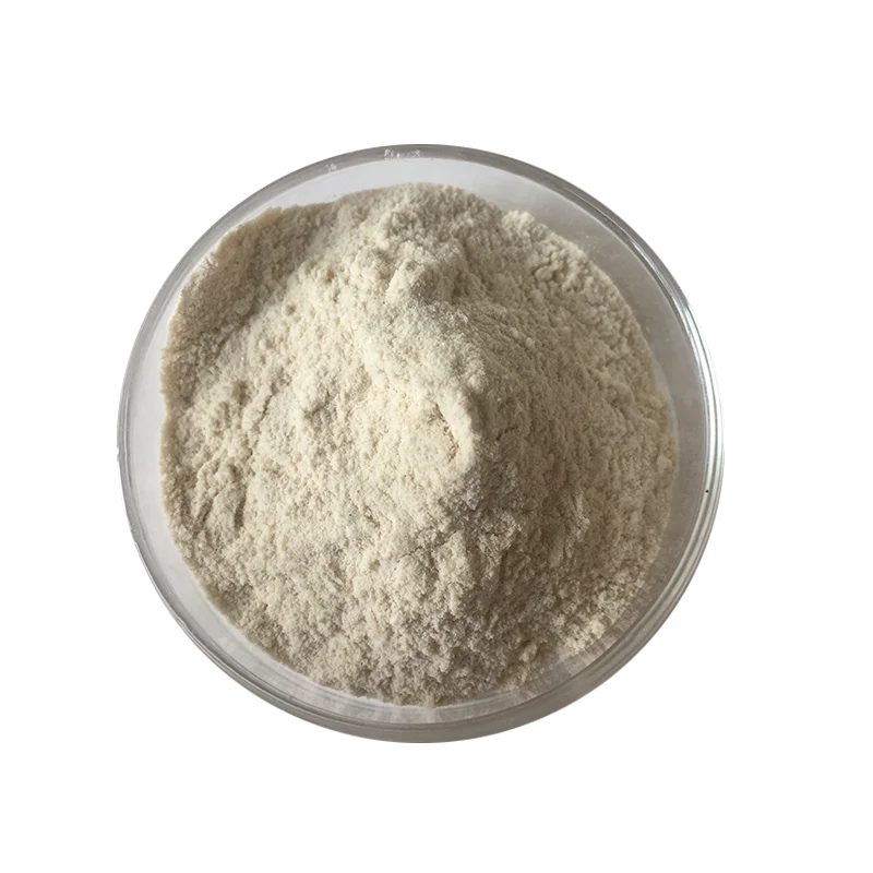 Anti-allergic100 Billion CFU/g Lactobacillus Reuteri Human Health Food Grade