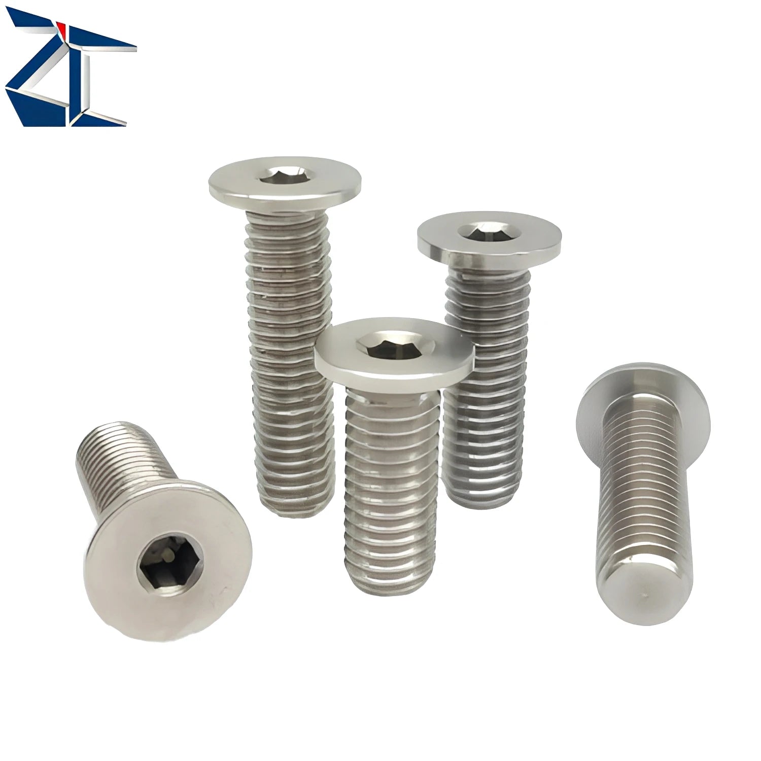 ZCBSTSR Perfect Quality Hexagon Ultra Low Socket Head Cap Stainless Steel Screws Manufacturer Other Hardware Fasteners
