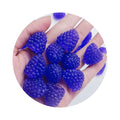3D Miniature Raspberry Slime Charms Mini Resin Raspberry Accessories 3D Fruits for DIY Handmade Doll House