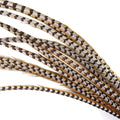 Wholesale Stock Selected Top Quality 110-120 cm Natural Ringneck Reeves Pheasant Tail Feathers