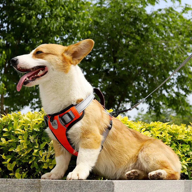 Luxury Adjustable Nylon Pet Harness Soft Padded Escape Proof No Pull Vest Reflective Handle Free Sample Dog Harness Leash Combo