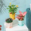 RUIPU (MG--S) Promo Wholesale Flower Plant Pot Beauty Garden Decoration Plastic Flower Pots