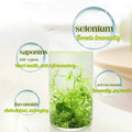 Natural China Herbal Tea Organic Jiaogulan Tea Gynostemma Pentaphyllum 100% Natural Herb Jiaogulan Gynostemma Pentaphyllum