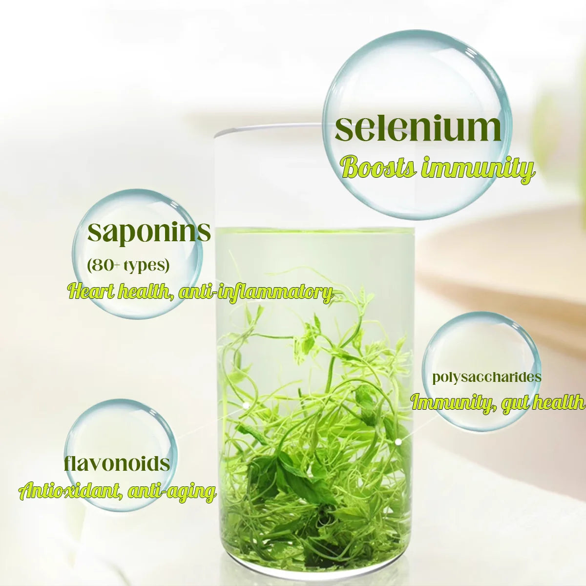 Natural China Herbal Tea Organic Jiaogulan Tea Gynostemma Pentaphyllum 100% Natural Herb Jiaogulan Gynostemma Pentaphyllum