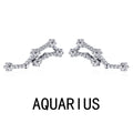 Dylam Aquarius Stud Earrings With Zircon 925 Silver Ear Stud Christmas Gift Luxury Earrings Trendy