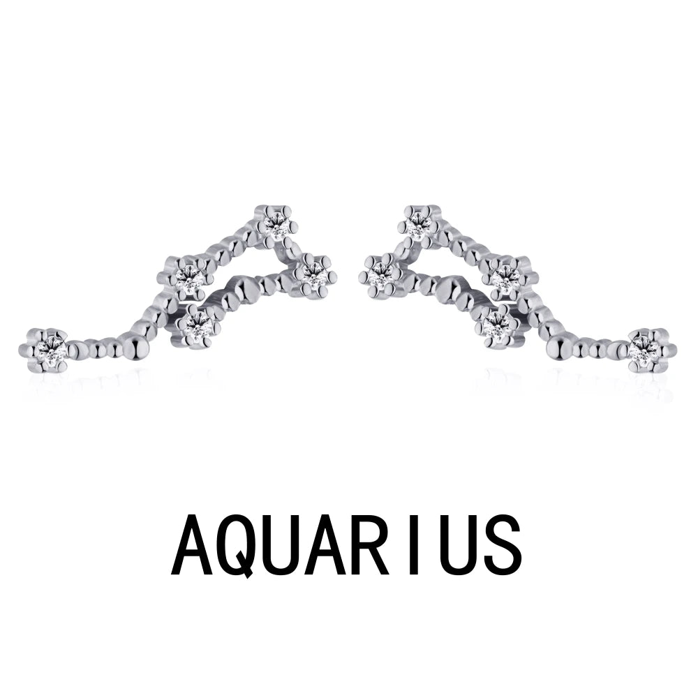 Dylam Aquarius Stud Earrings With Zircon 925 Silver Ear Stud Christmas Gift Luxury Earrings Trendy