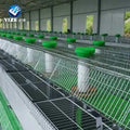 2024 Hot Sale Hot Dipped Galvanized 24 Doors Breeding Industrial Commercial Rabbit Cage