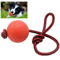 Modern Fashion Pet Toy Solid Elastic TPR and Plastic Rubber Rope Ball Eco-Friendly Dog Chew and Training Toy