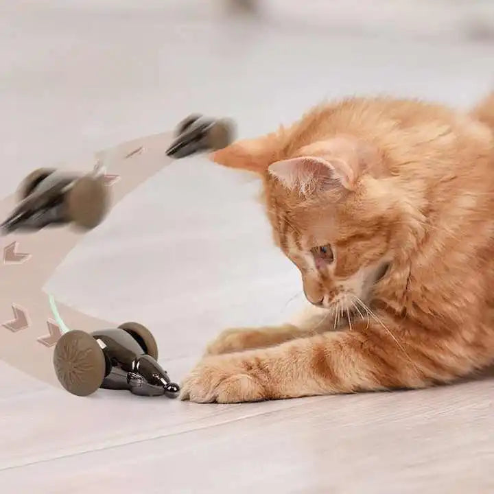 USB Rechargeable Modern Interactive LED Ball Cat Toy Automatic Smart Sensing Eco-Friendly Design ABS Material China Made Evernew