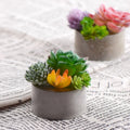 Food Grade Silicone Eco-Friendly Dishwasher Safe Concrete Mold for Succulent Plants Pot Planter Mould