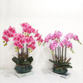 Real Touch Orchid Plants Set Potted Orchid Phalaenopsis Artificial Latest Customized Phalaenopsis Orchids Bonsai