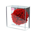 Every Love New Coming Customized Mother Day Gift Preserved Carnation Mirror Acrylic Box Gifts