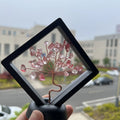 New Design Natural Crystal Lucky Tree Black Photo Frame Ornaments Crystal Chip Tree for Energy