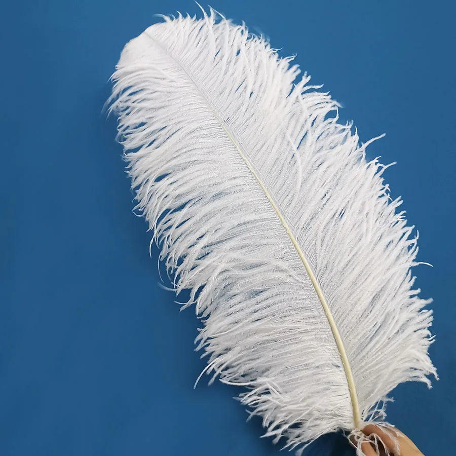 Dyed Large Ostrich Feathers Wedding Home Decoration 40-80cm Table Centerpiece Photo Props Crafts Xinyuling Brand Made South