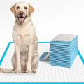 Wholesale High Quality Pet Dog Urine Pads