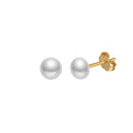 RINNTIN GPE104 Minimalist 4.5-5mm Pearl Earrings Studs for Women Elegant Shell Pearl Earrings Trendy 925 Sterling Silver Jewelry