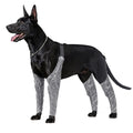 Waterproof Dog Leggings to Prevent Licking Dog Sleeves for Wounds Front and Back Legs Dog Recovery Sleeve