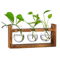 Wholesale Custom Desktop Glass Flower Pot Bulb Vase Bulb Plant Glass Container with Vintage Solid Wood Stand