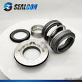 LKH 5 - 60 Vulcan Type 92D AESseal P07 Double Mechanical Seal Kit for GMALCLKH Water Pump