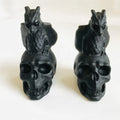 Custom Natural Crystal Skulls Black Obsidian Dragon Fly Skulls for Decoration