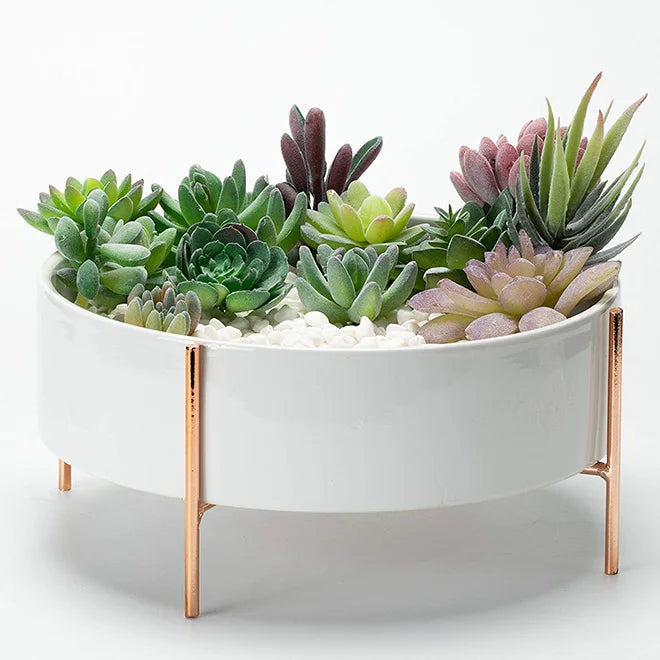 New 10 Inch Ceramic Bonsai Pot With Drainage Round Marble Cactus Flower Plant Bowl Shadow Planter for Home Garden