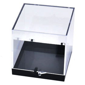 Mineral Display Display Boxes Acrylic Specimen Box Cube for Collectibles