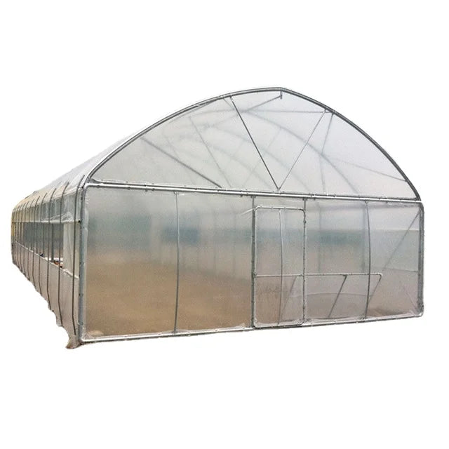 Single-span Agriculture Greenhouse Tunnel Greenhouse for Sale