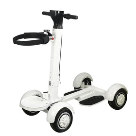 For 2000W Brushless Motor Electric Golf Cart & Board Caddy with 48V Lithium Battery 20km/h Speed 30-35km Range 150kg Capacity