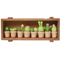 Artificial Succulent Plants and Fake Felted Cactus 8-in-1 Lot Wool Felting Handmade Folk Art Beginner DIY Set