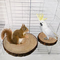 Wholesale Small Animal Bird Hamster Solid Bird Cage Wood Stand