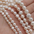 White High Luster Natural Freshwater Pearl Button Shape  Wholesale Freshwater Pearl in Strand for Diy Jewelry Making