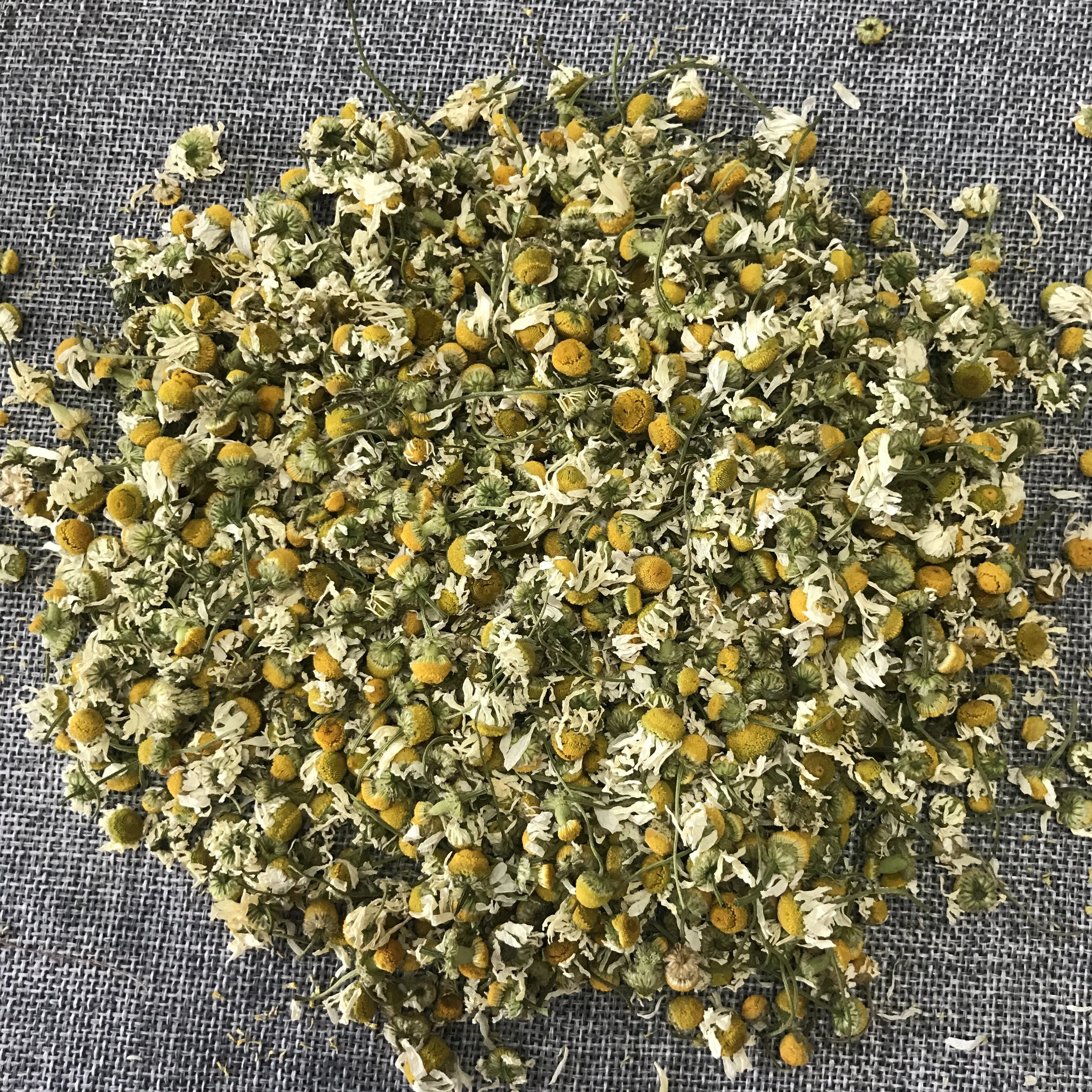4021 Yang Gan Ju Hot Selling Products Dried Flowers Flavor Tea Dried Chamomile Flowers