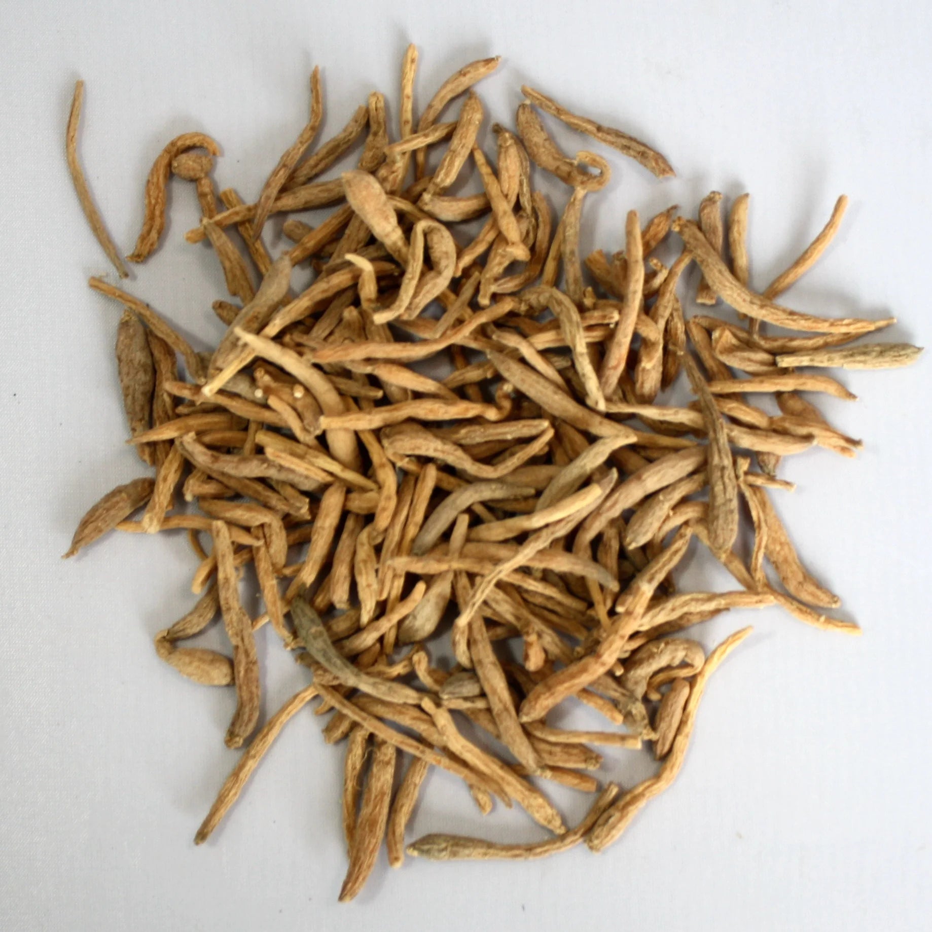 Tai Zi Shen 1014 Natural Health Food Falsestarwort Root Radix Pseudostellariae Powder Form Bulk Box Sachet Packaging Raw Fresh