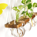 Creative Transparent Glass Wall Hanging Vase Fashionable Wall Decoration Pieces
