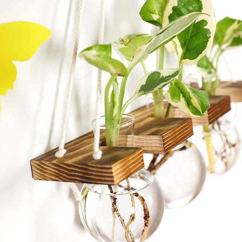 Creative Transparent Glass Wall Hanging Vase Fashionable Wall Decoration Pieces