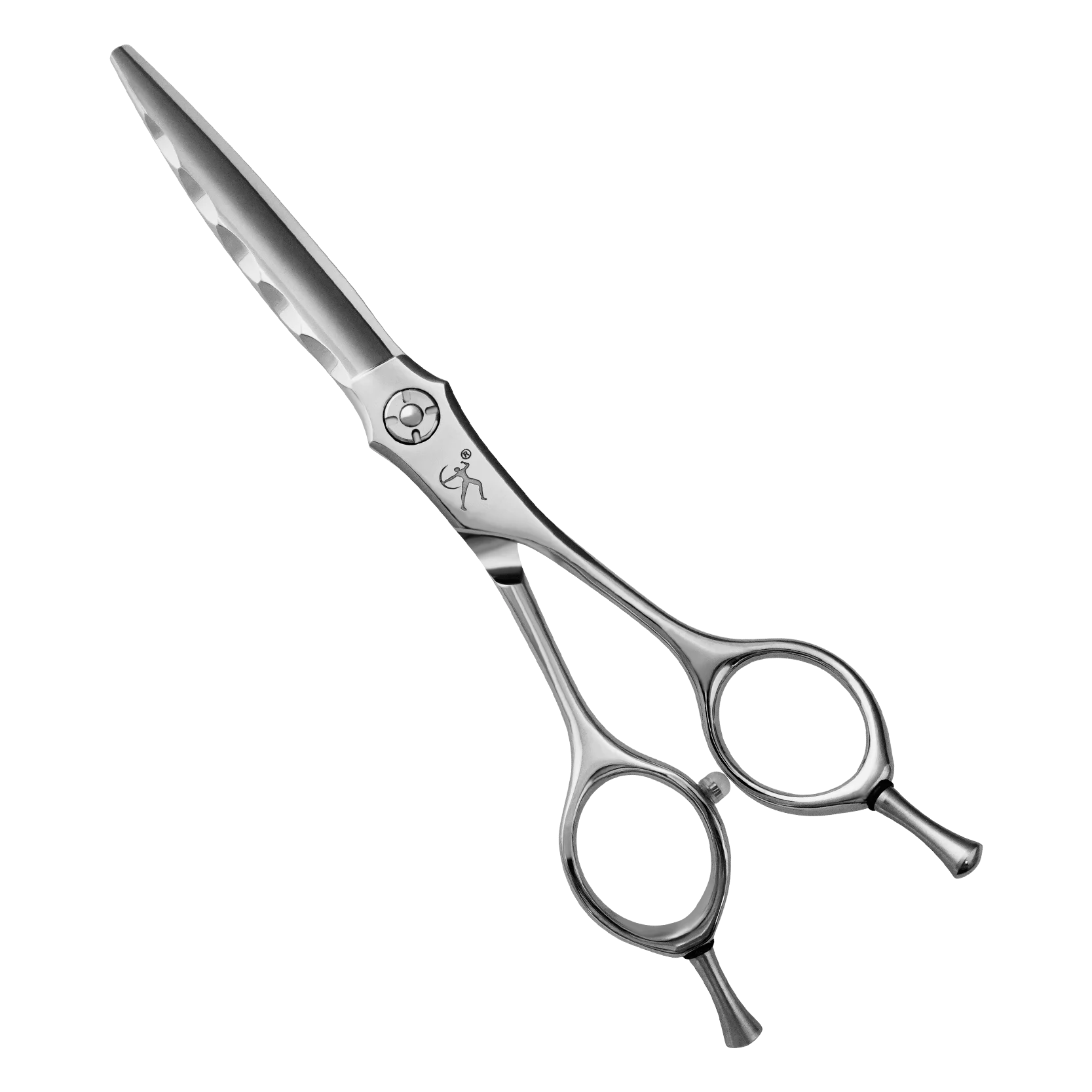 Titan Hitachi Professional 6.0inch Hair Cutting Scissors