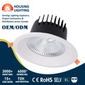 Big Modern LED Downlights 220V 10W-40W 250mm COB Recessed Anti-Glare Spotlight with Aluminum & Glass Construction