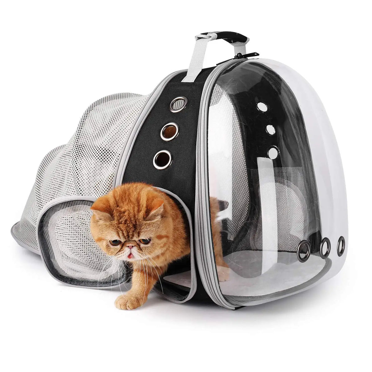 Bubble Expandable Cat Backpack Pet Travel Carrier Large Capacity Travel Bag Cat Bag Outdoor Pet Carriers