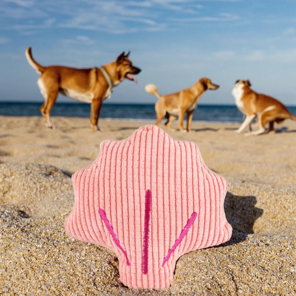 Wholesale Cute Scallop Shaped Durable Toys Squeaky Inside Pet Toys Dog Stuffed Chew Plush  Interactive Dog Toys Pet Accessories