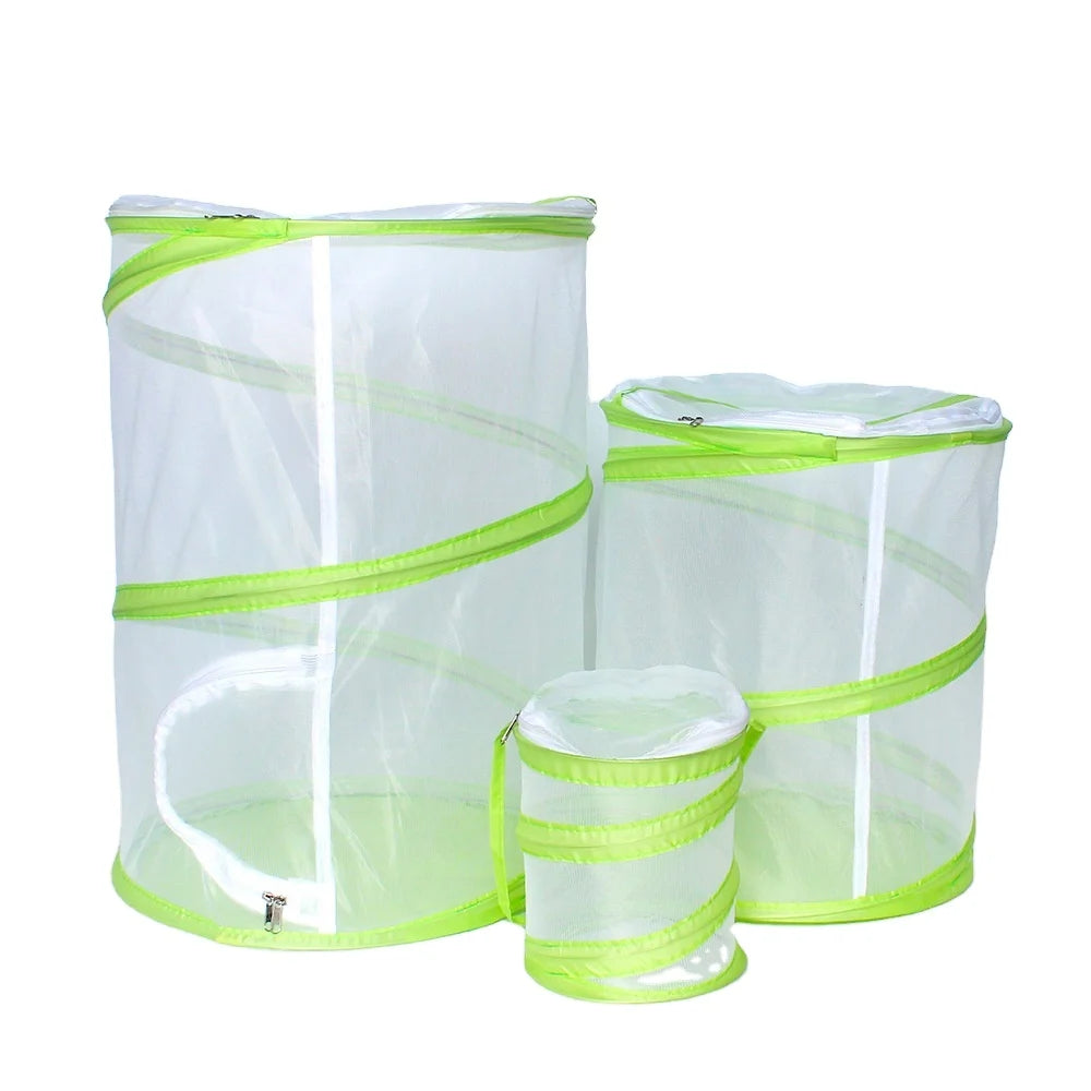 Collapsible Fabric and Mesh Container with Insect and Butterfly Pop-up Habitat Cage